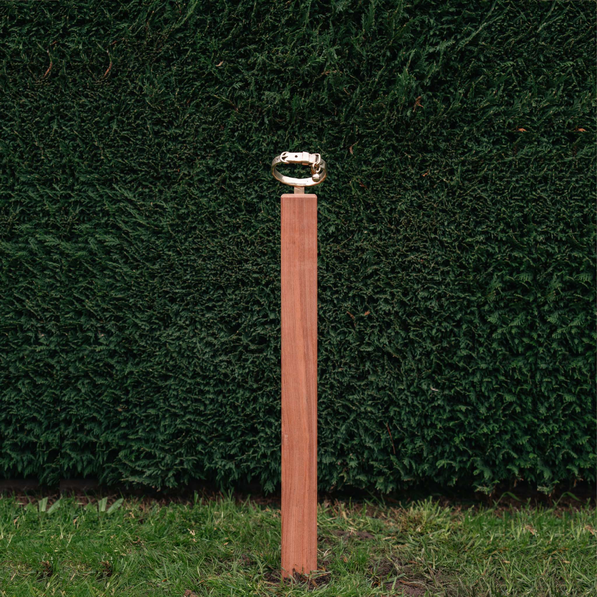 Bronze Cat Collar Memorial on Post