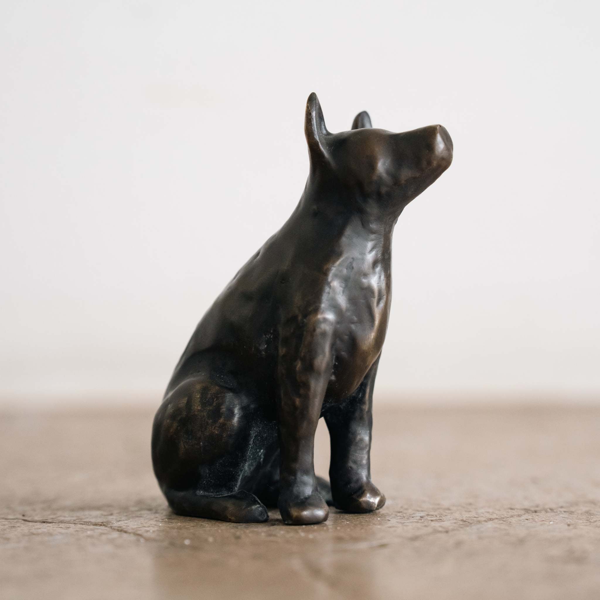 Venus Dog Memorial on Post