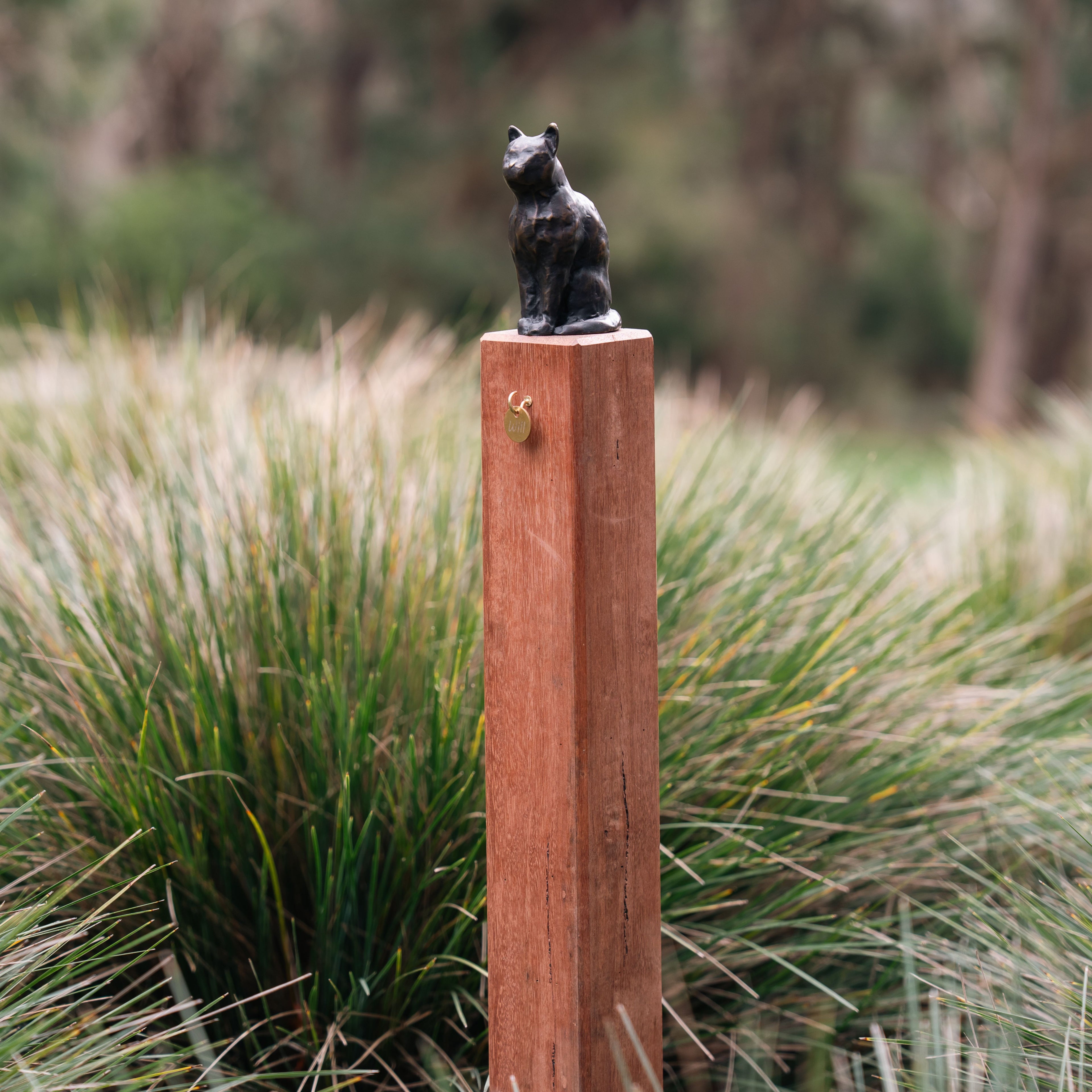 Cat on Memorial on Post