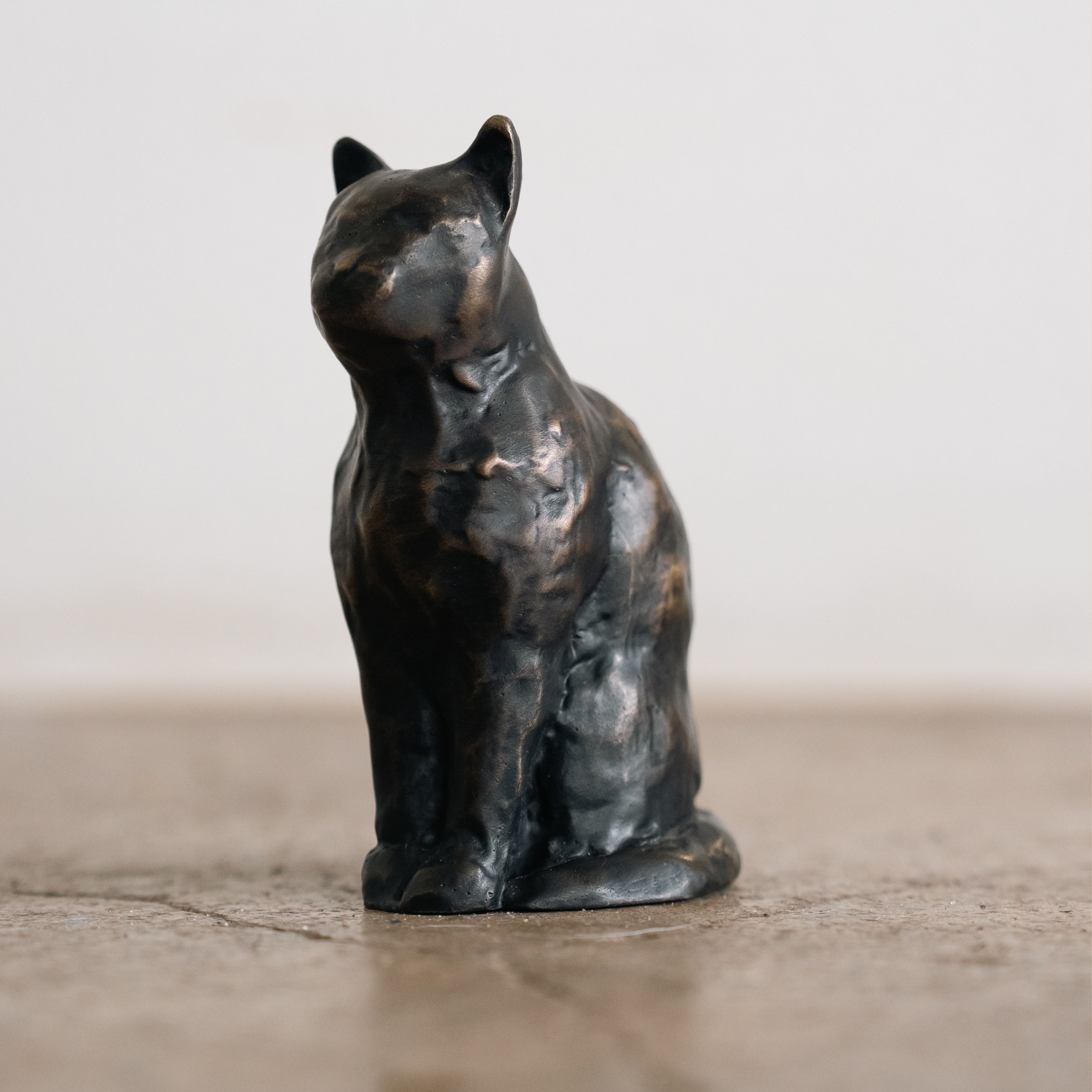 Cat on Memorial on Post