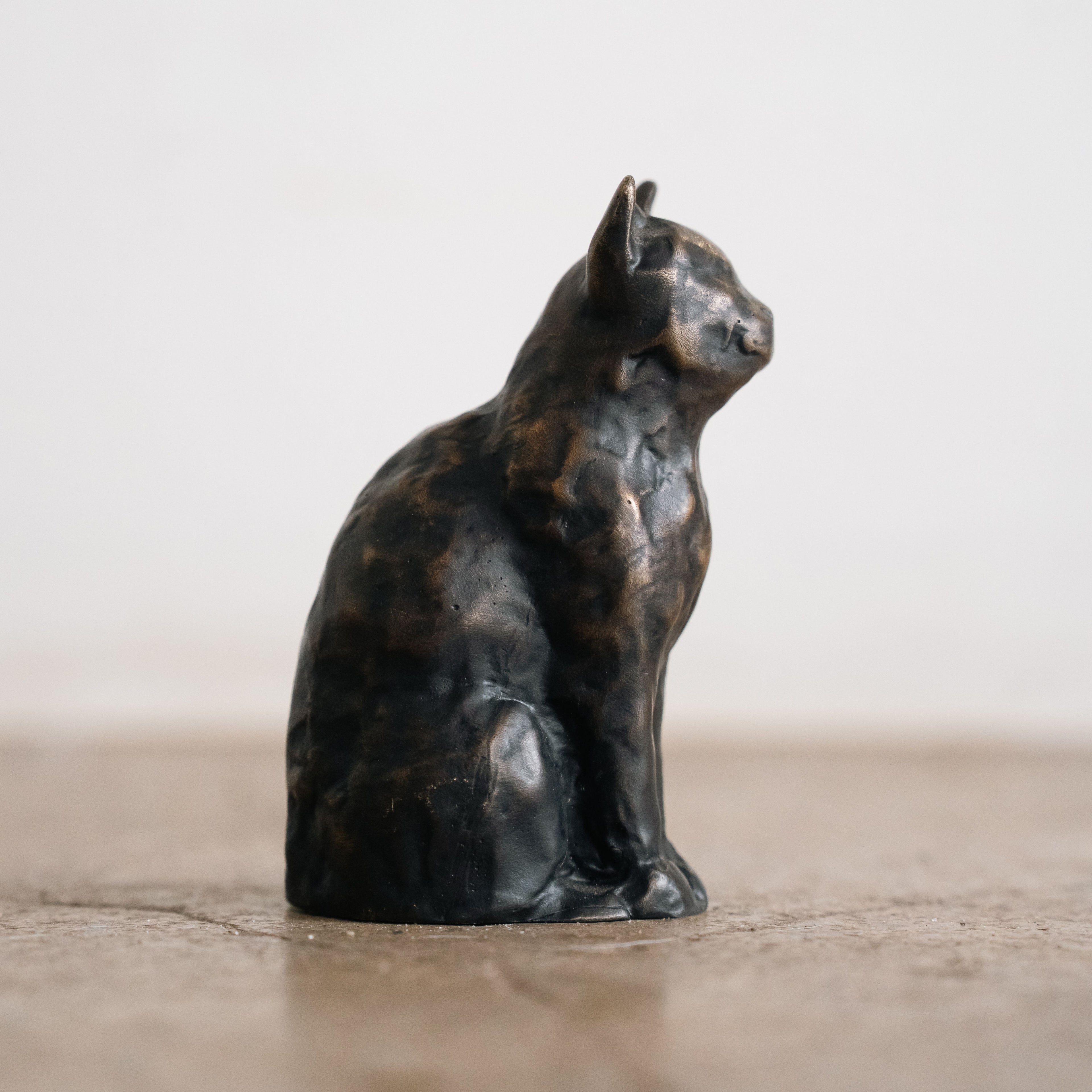Cat on Memorial on Post