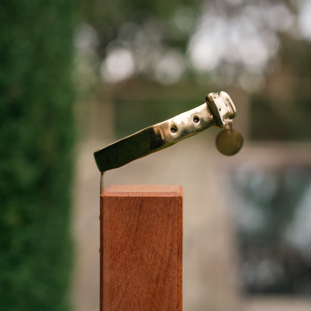 Bronze Dog Collar Memorial on Post
