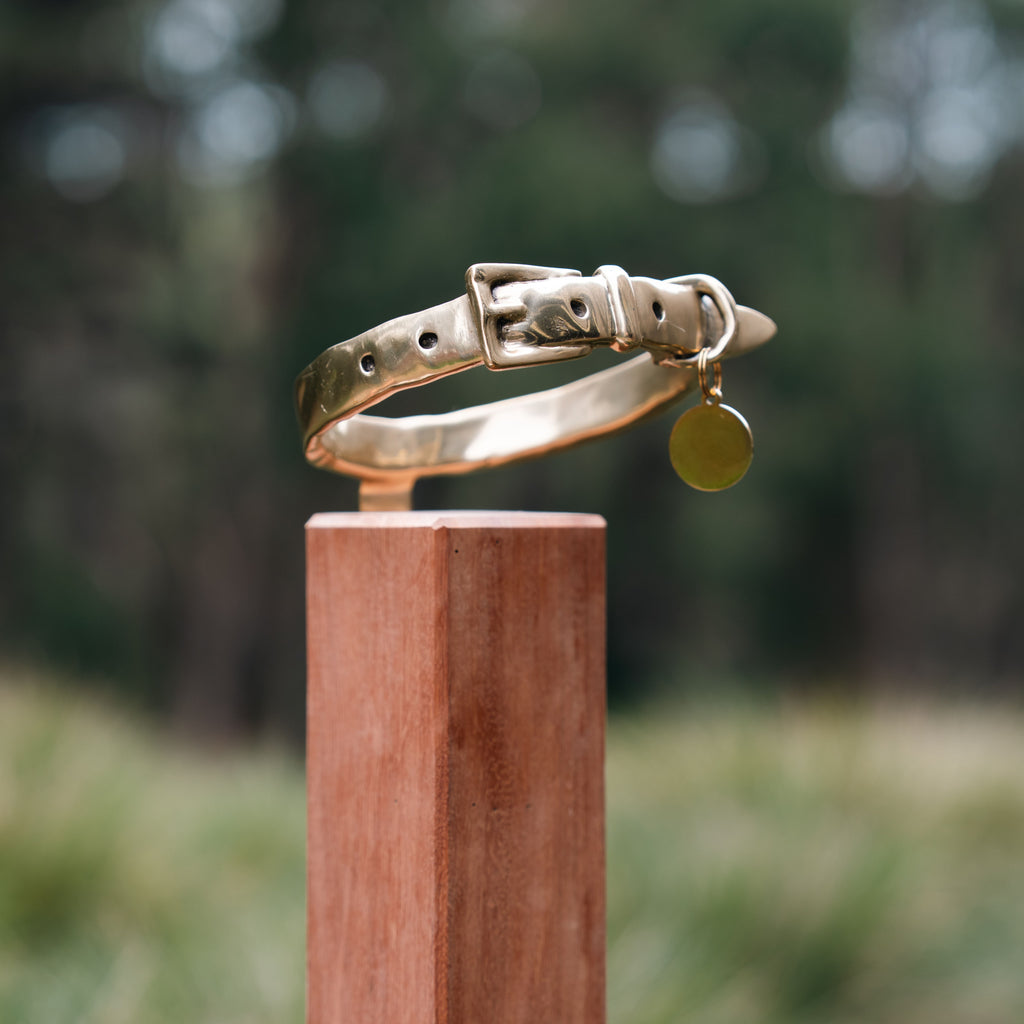 Bronze Dog Collar Memorial on Post