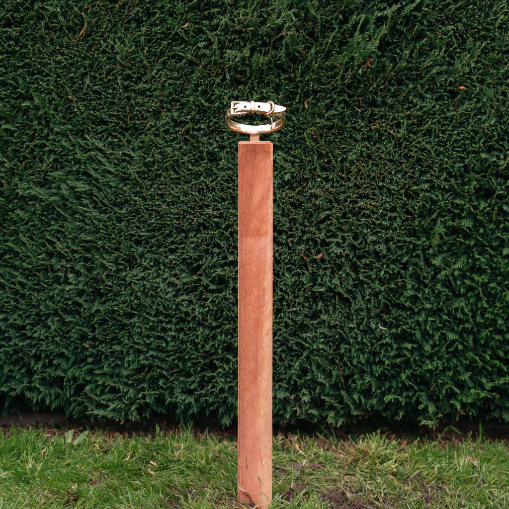 Bronze Dog Collar Memorial on Post 3
