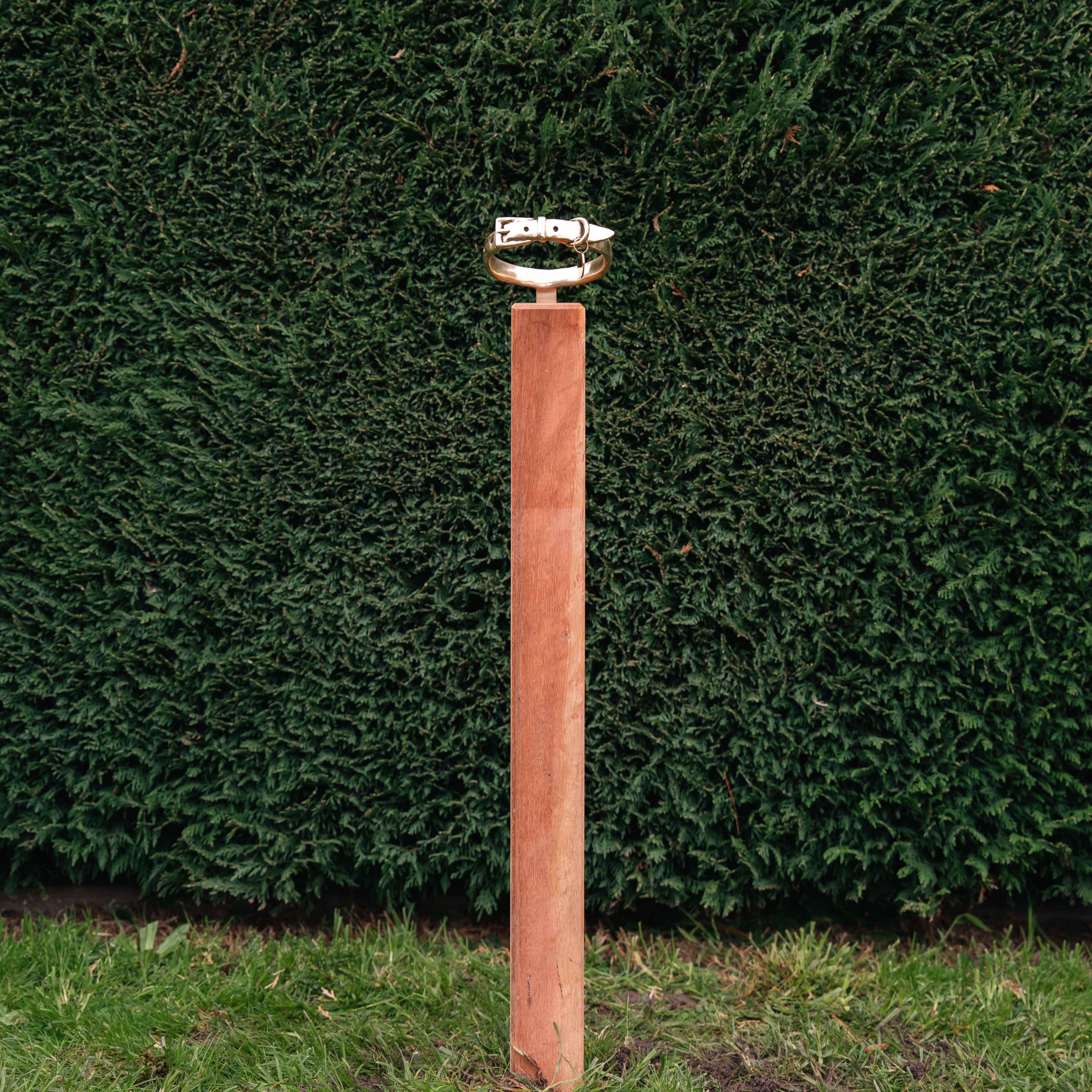 Bronze Dog Collar Memorial on Post 3