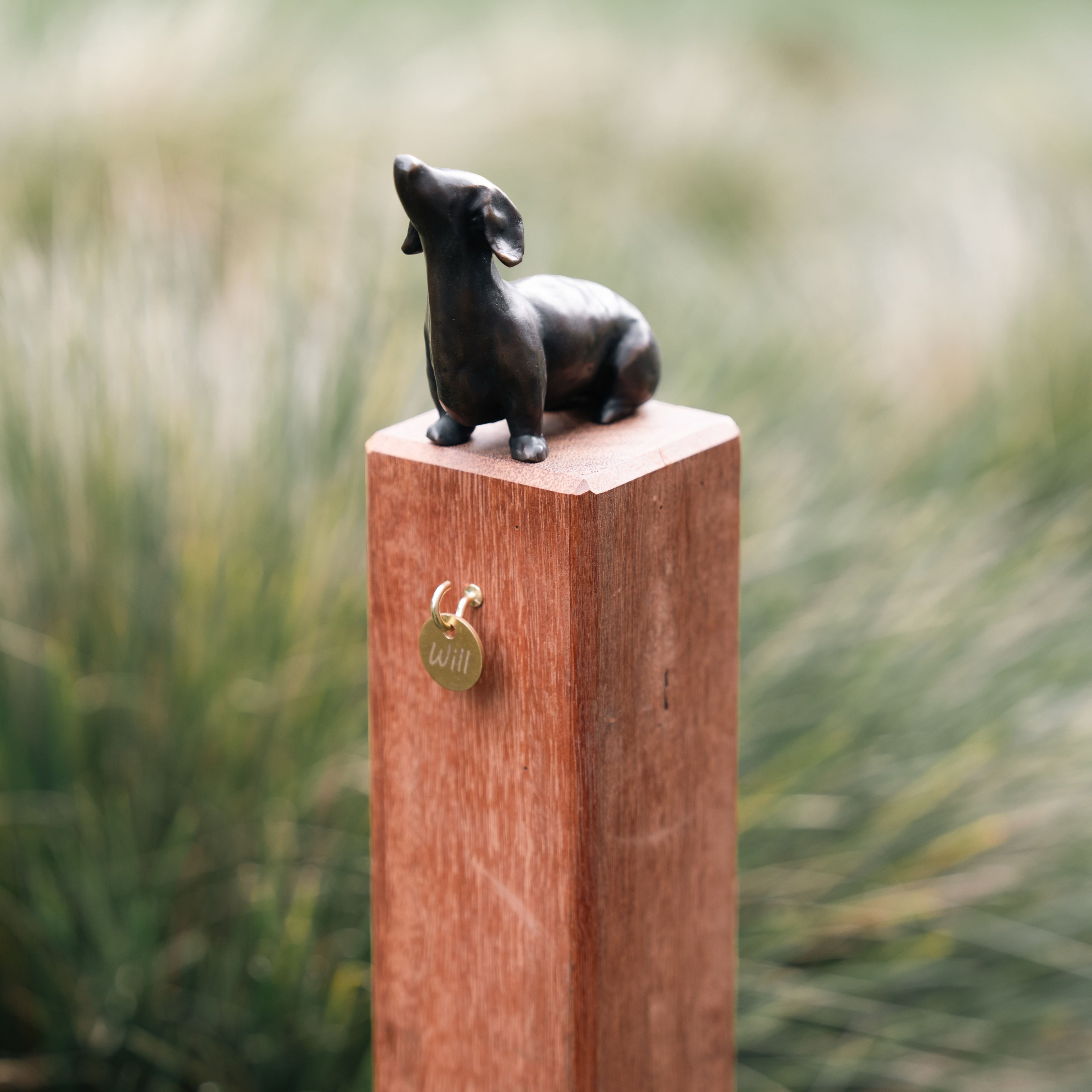 Dog Memorial