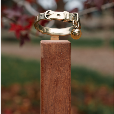 Bronze Cat Collar Memorial on Post