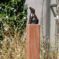 Jupiter Dog Memorial on Post
